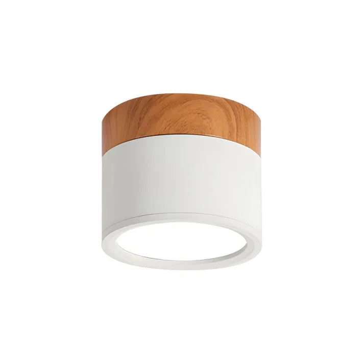 Nordic Style Cylinder LED Hallway Ceiling Lights