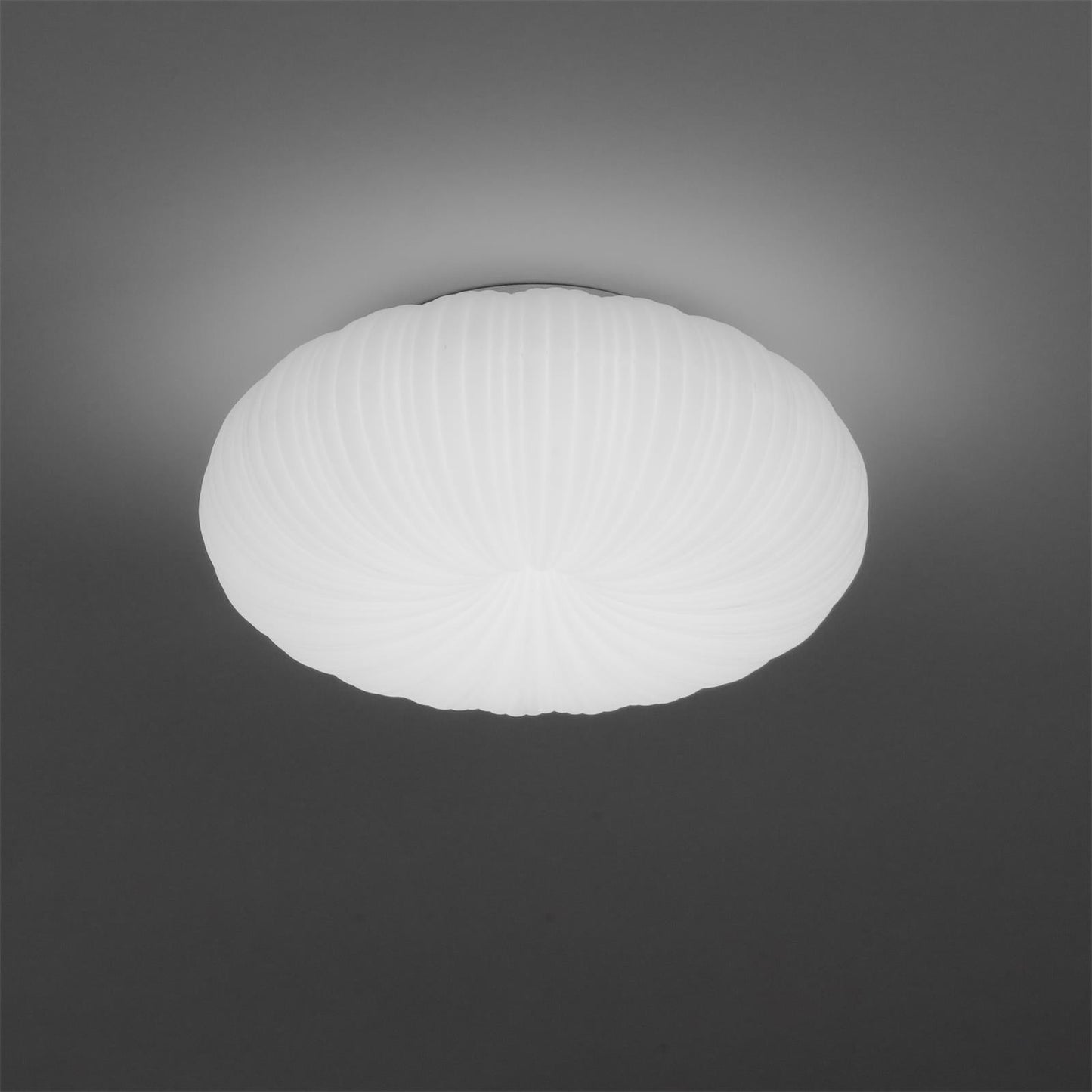 Robby Design Ceiling Light