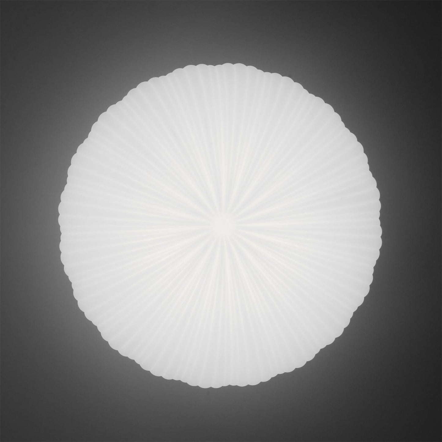 Robby Design Ceiling Light