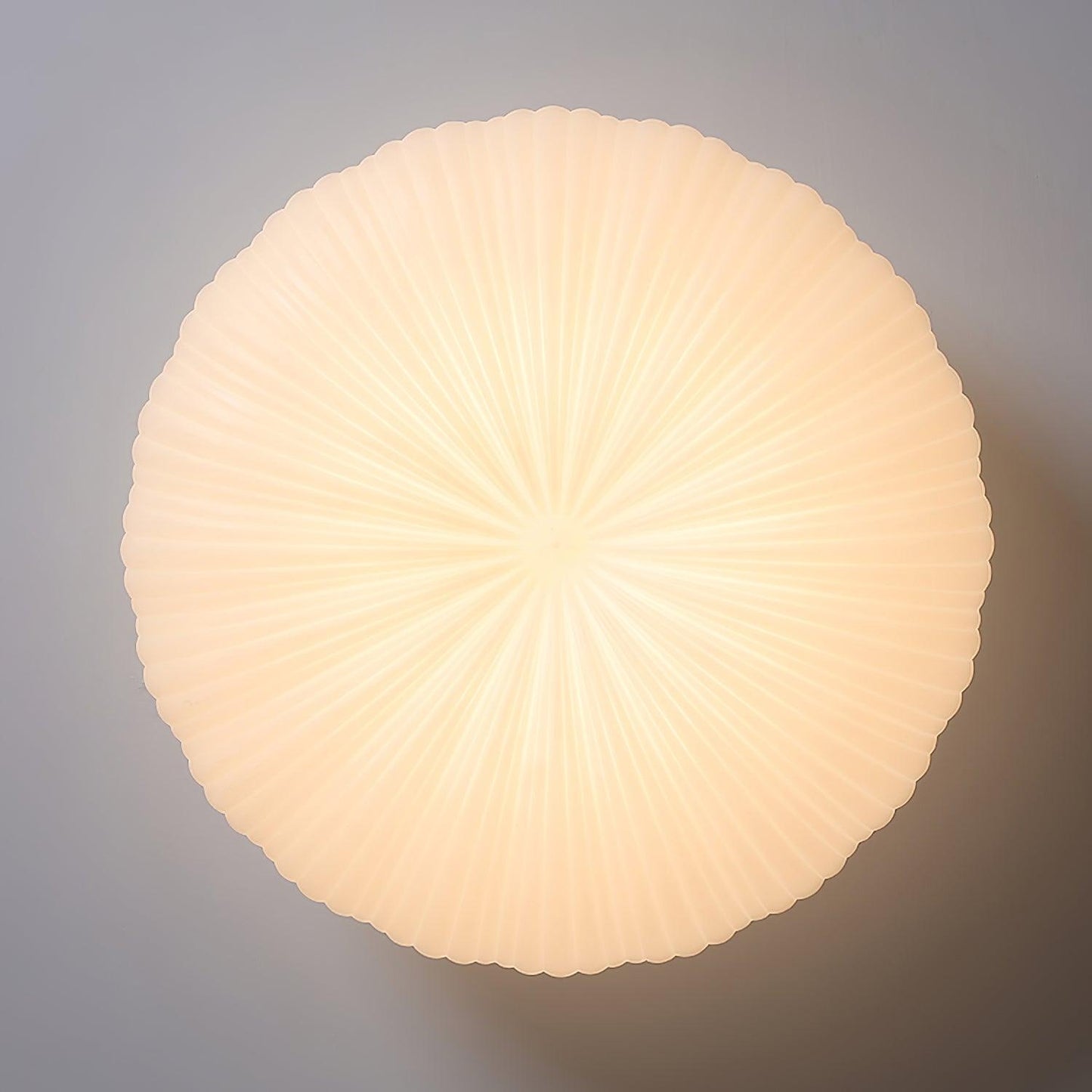 Robby Design Ceiling Light