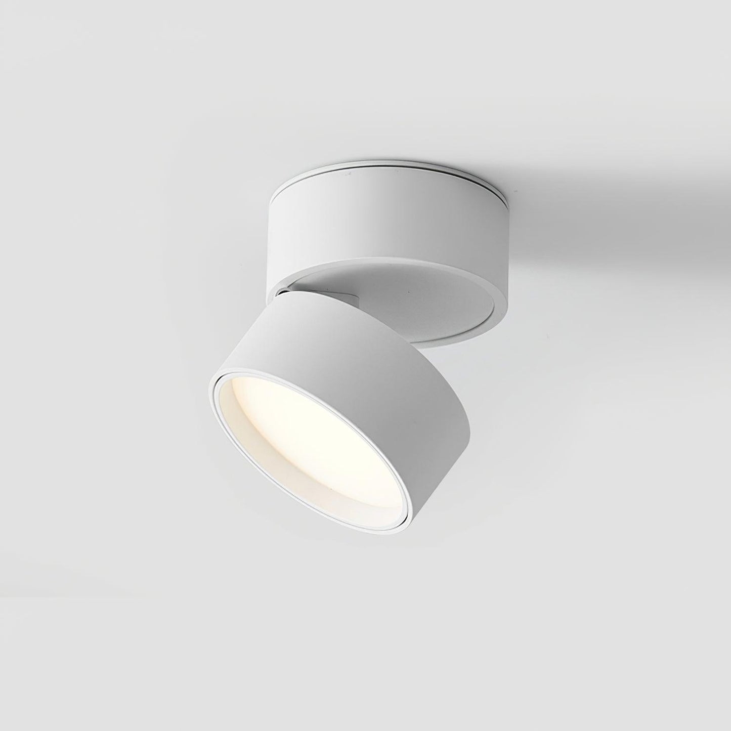 Surface Ceiling Lamp
