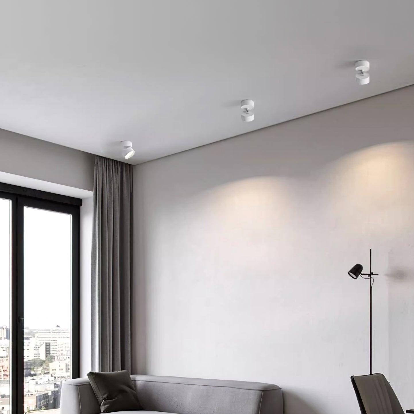 Surface Ceiling Lamp