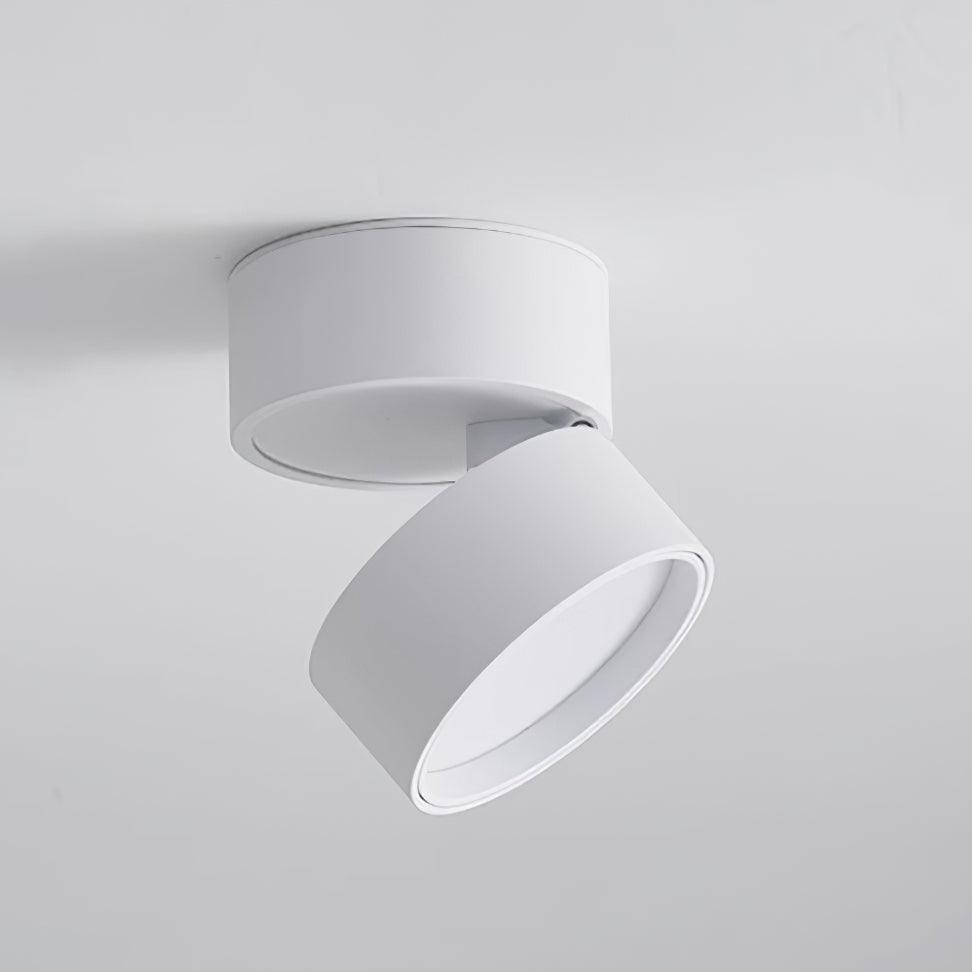 Surface Ceiling Lamp
