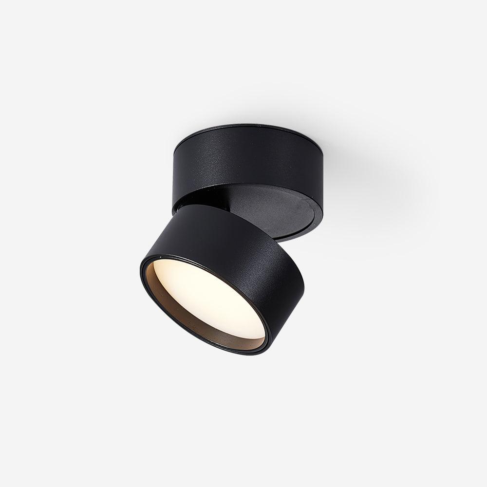 Surface Ceiling Lamp
