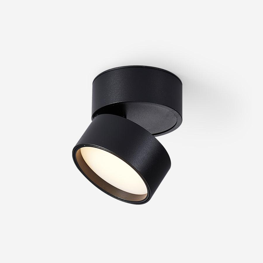 Surface Ceiling Lamp
