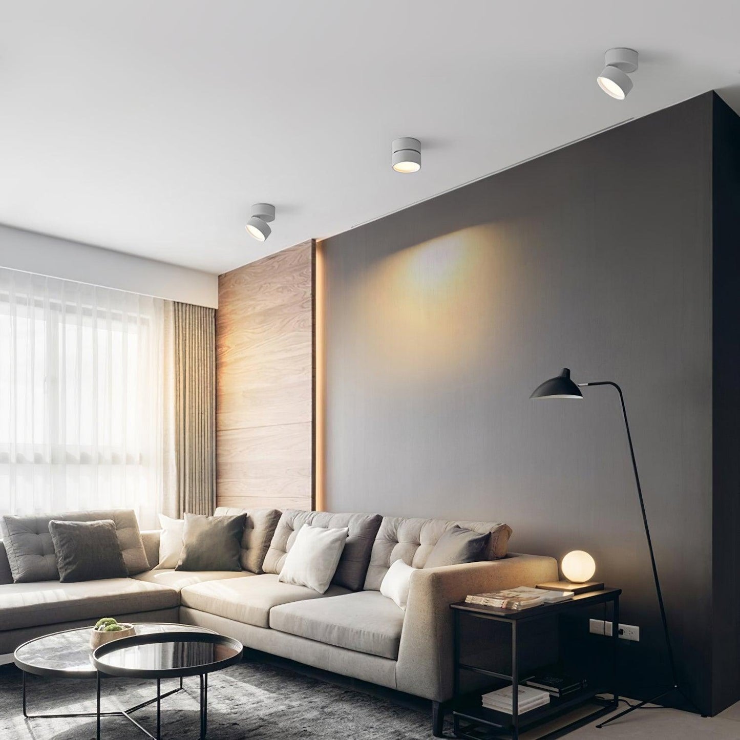 Surface Ceiling Lamp