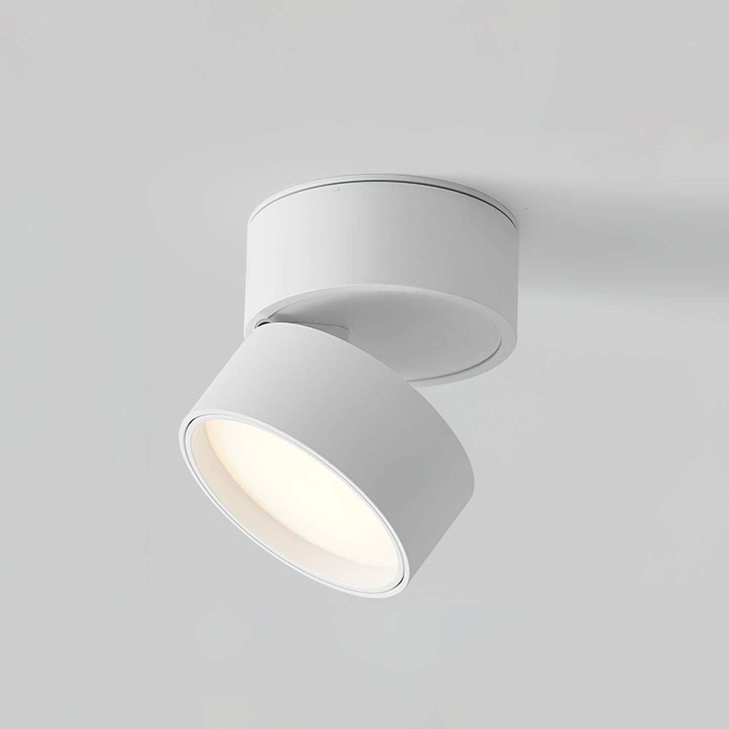 Surface Ceiling Lamp