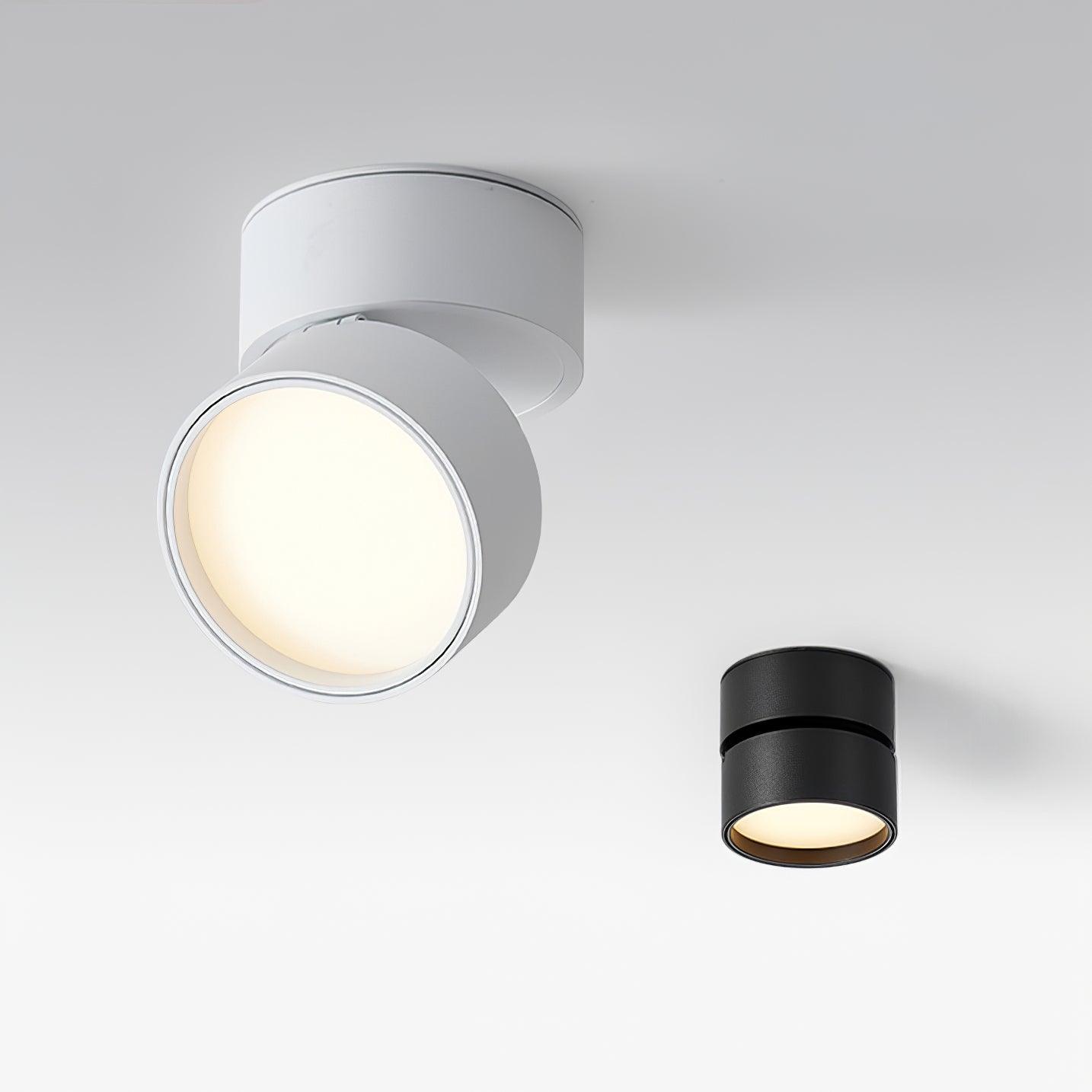 Surface Ceiling Lamp