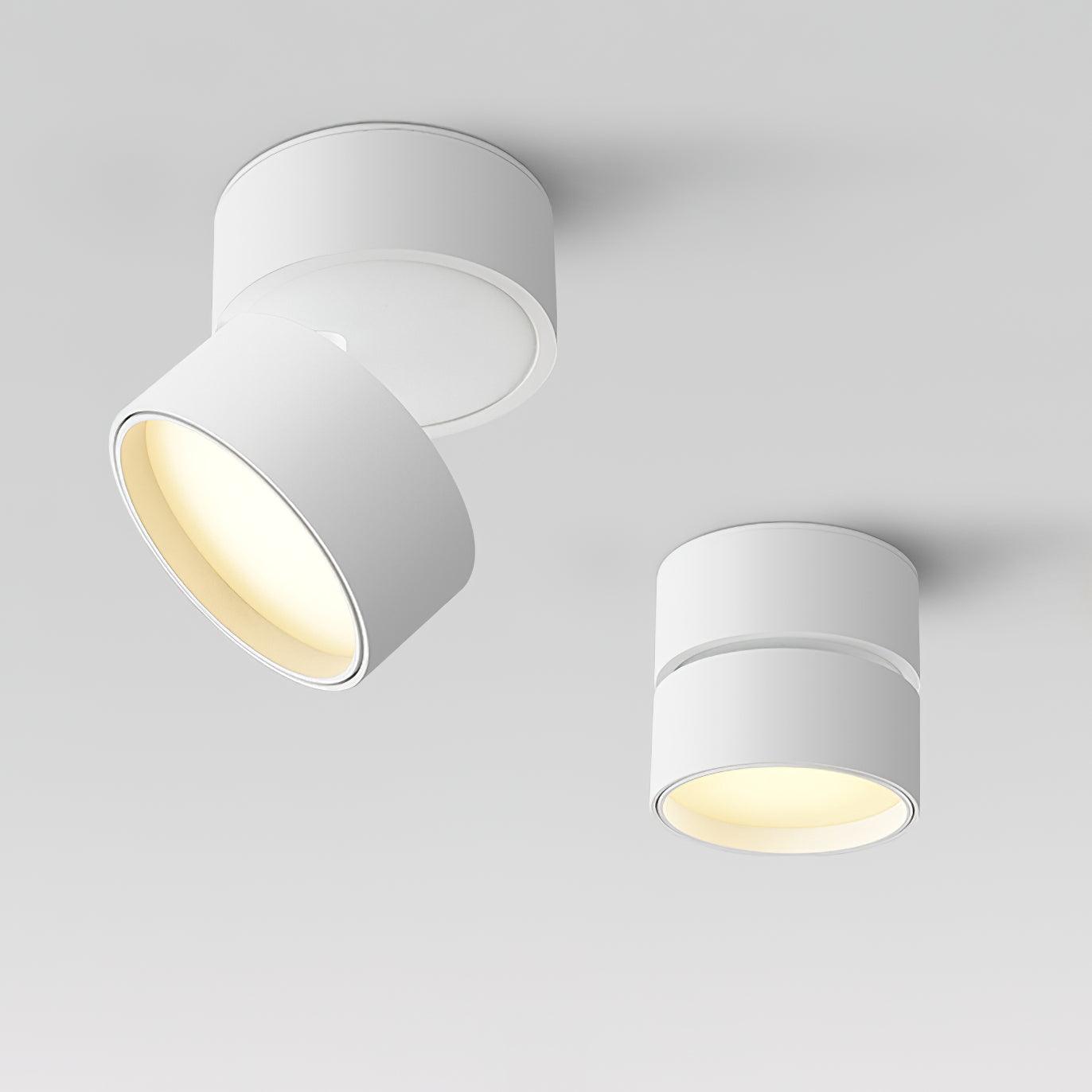 Surface Ceiling Lamp