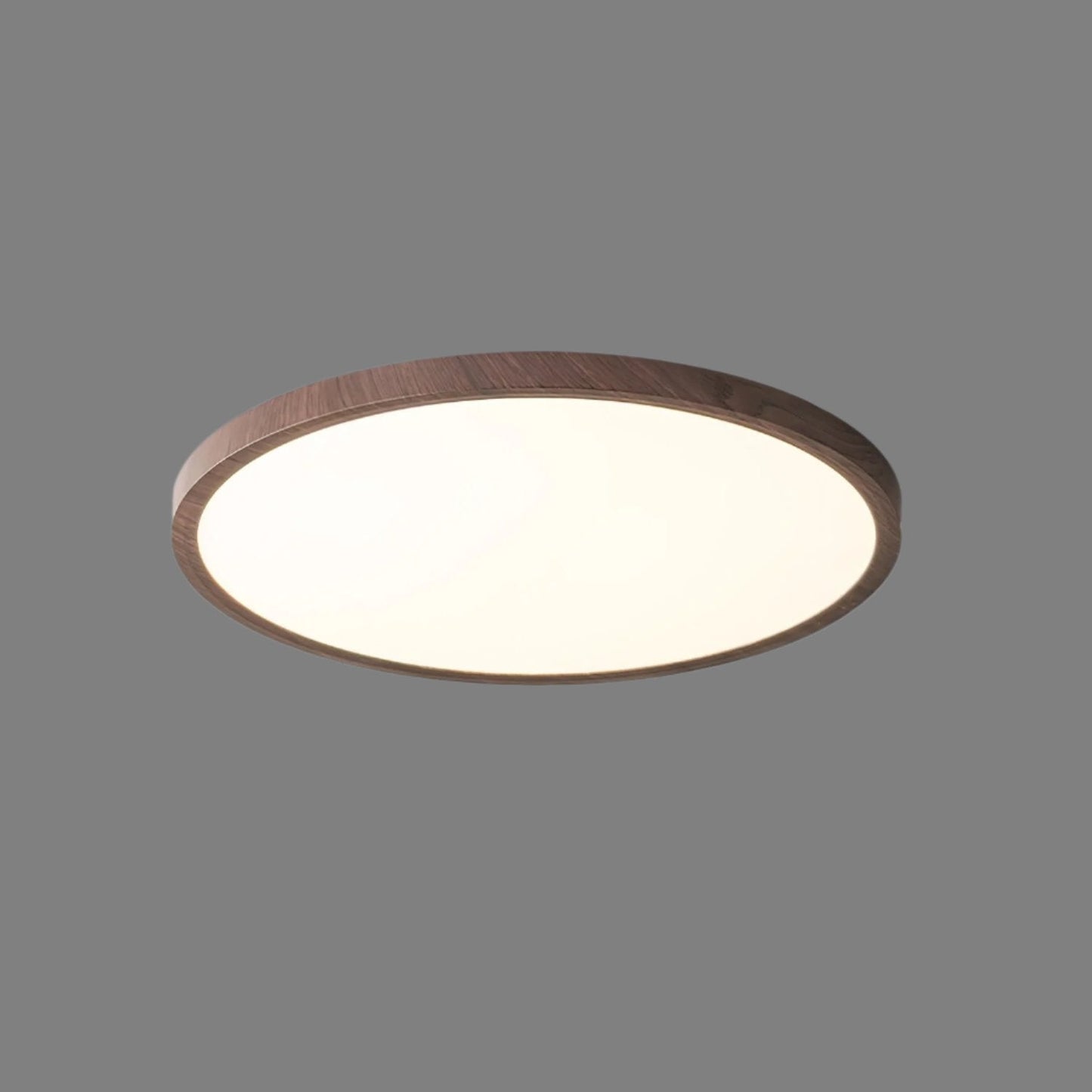 Ultrathin Round Classic Ceiling Light