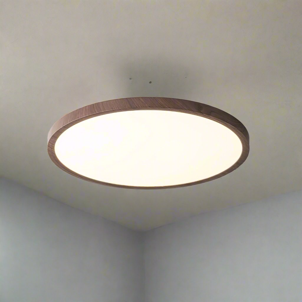 Ultrathin Round Classic Ceiling Light