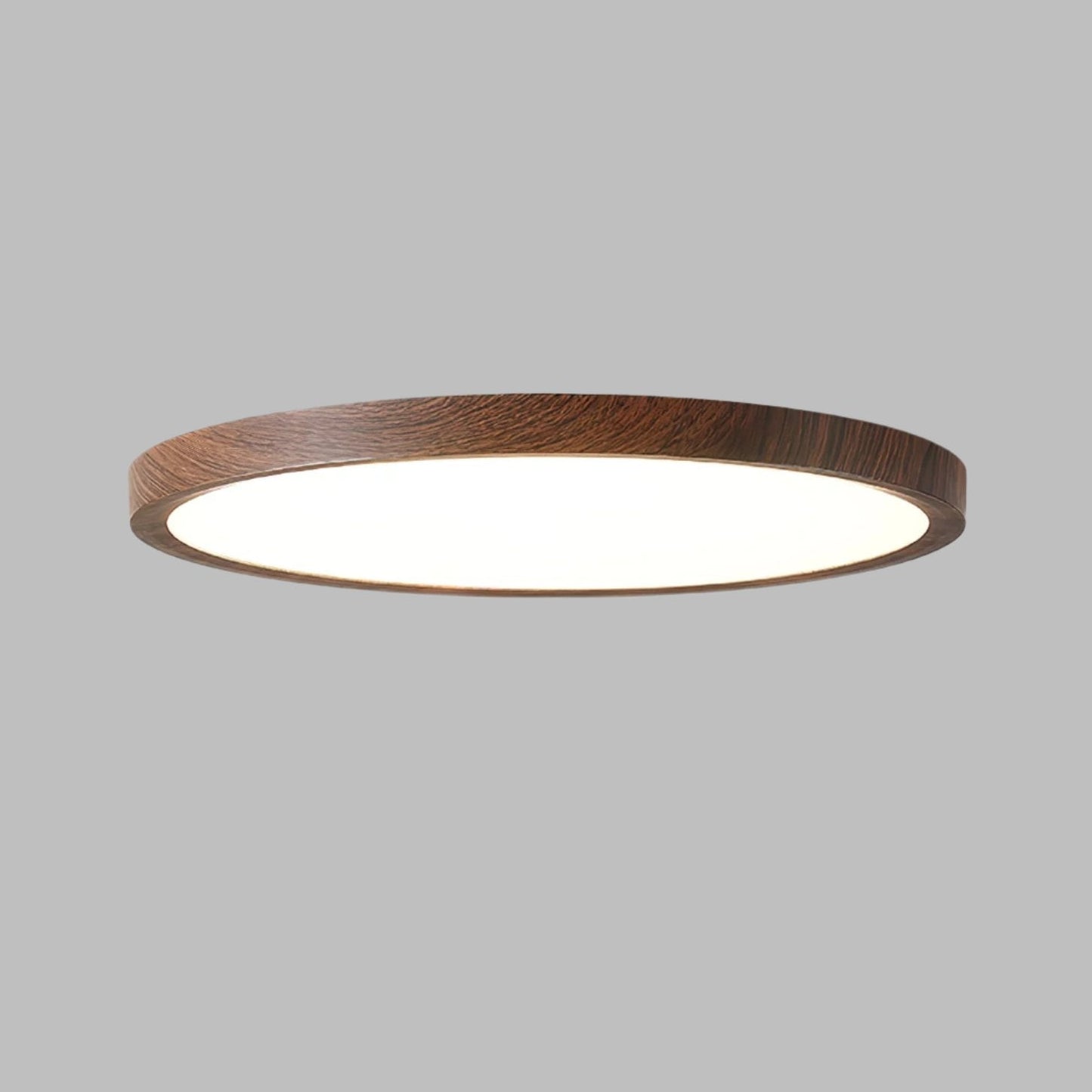 Ultrathin Round Classic Ceiling Light