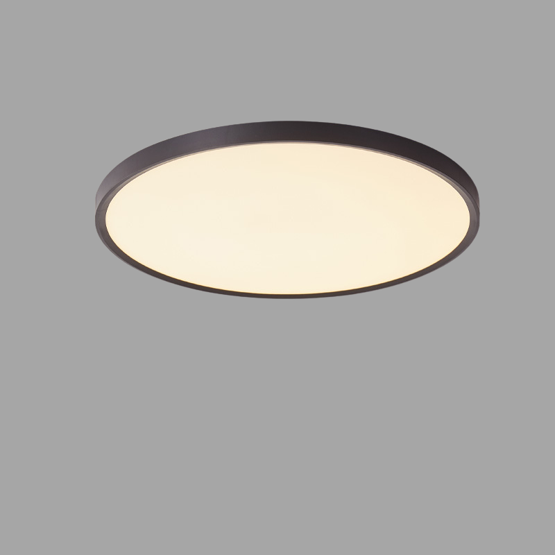 Waterproof LED Ceiling Light