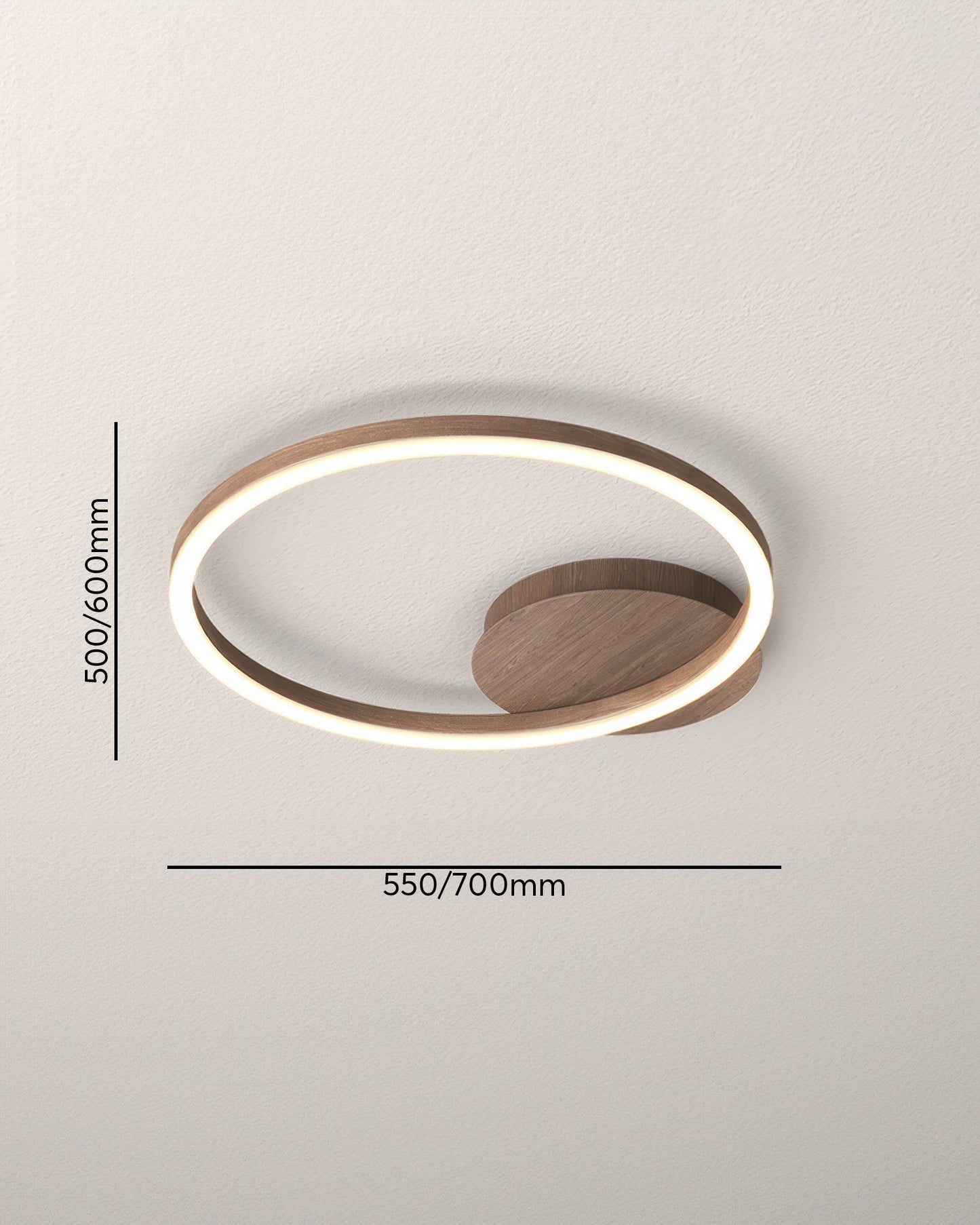 Elegant Design Ring Ceiling Light