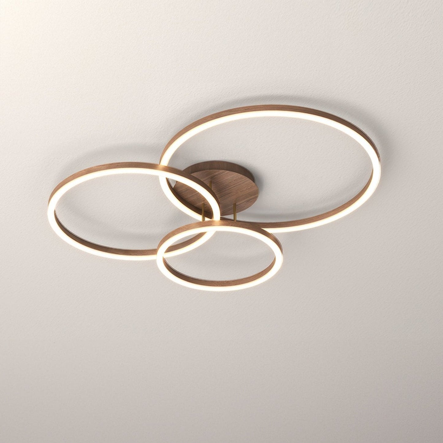Elegant Design Ring Ceiling Light