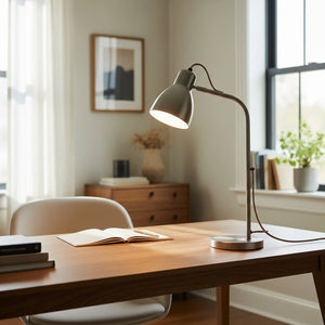 Desk Lamps
