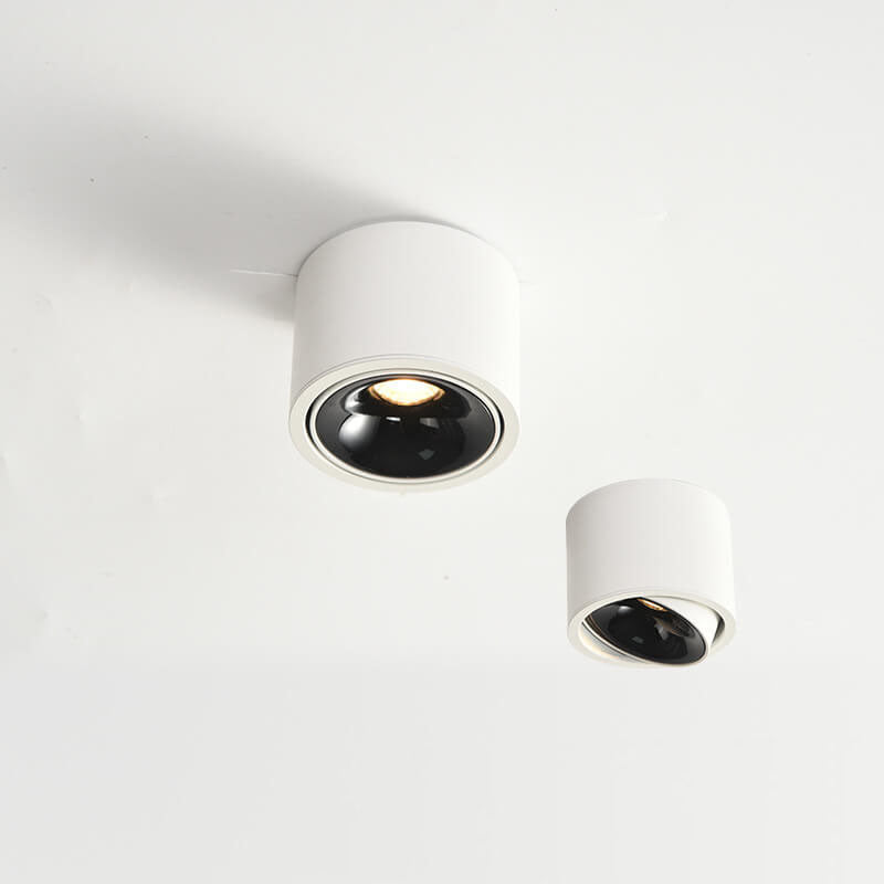 Adjustable LED Flush Mount Ceiling Spotlight