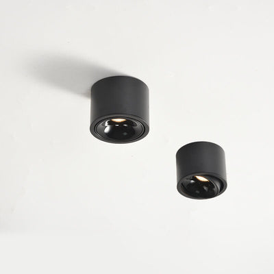 Adjustable LED Flush Mount Ceiling Spotlight