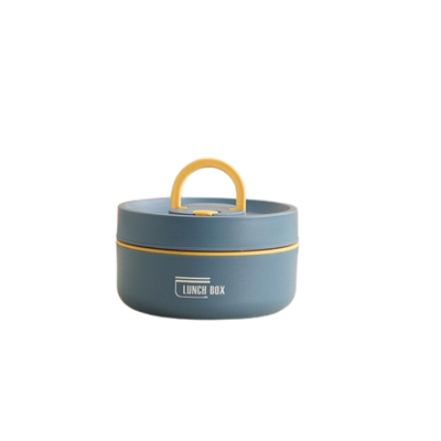 Multi-Layer Insulated Lunchbox with Free Carry Bag