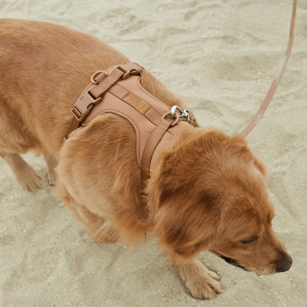 ComfyPaws Dog Harness Walking Set with Leash and Poop Bag Holder