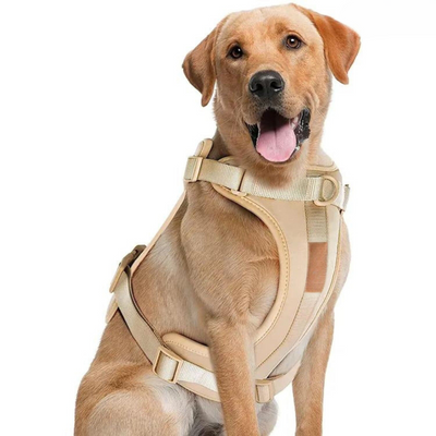 ComfyPaws Dog Harness Walking Set with Leash and Poop Bag Holder