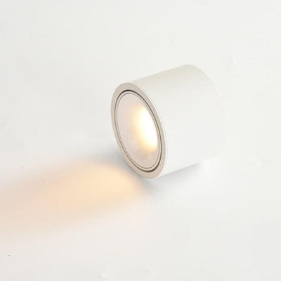 Adjustable LED Flush Mount Ceiling Spotlight
