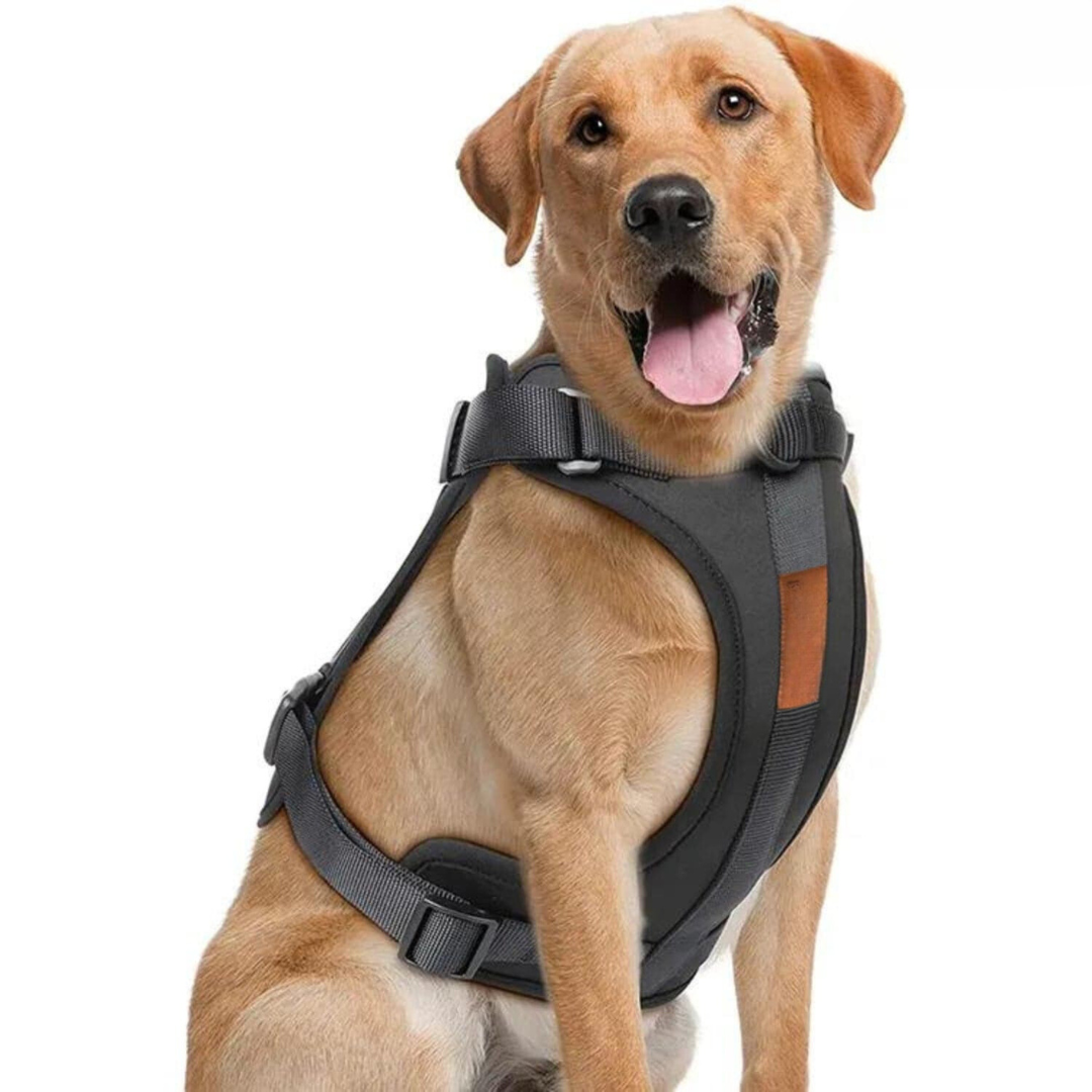 ComfyPaws Dog Harness Walking Set with Leash and Poop Bag Holder