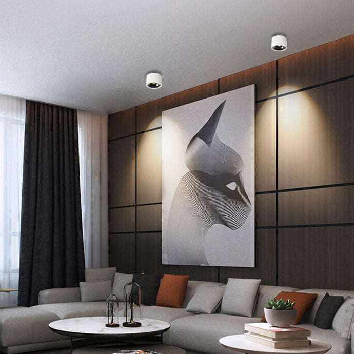 Adjustable LED Flush Mount Ceiling Spotlight