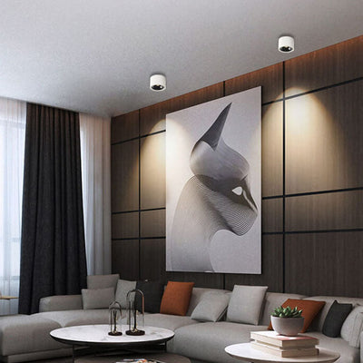 Adjustable LED Flush Mount Ceiling Spotlight