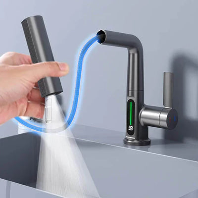 Flexible LED Faucet with 5 Spray Modes