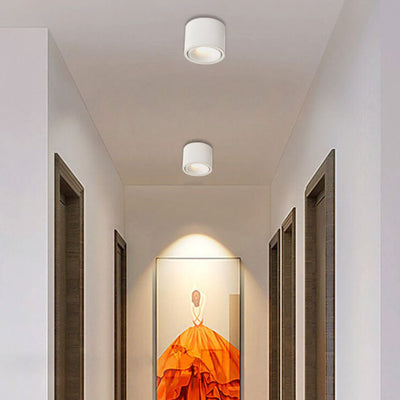 Adjustable LED Flush Mount Ceiling Spotlight