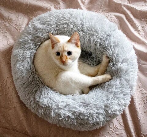 Fluffy Calming Pet Bed for Dogs and Cats