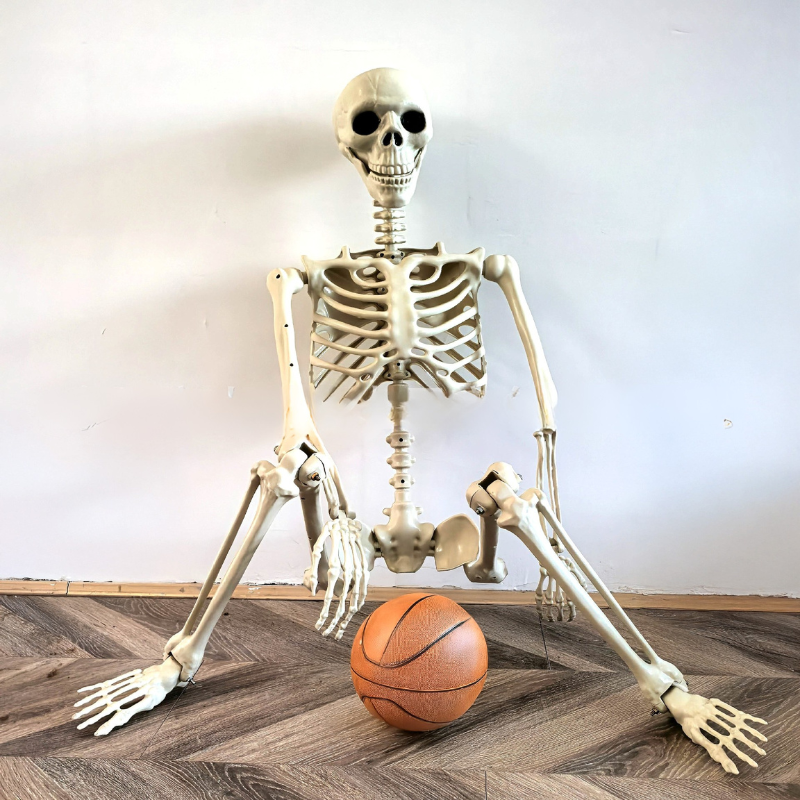 Life-Size 170 cm Posable Halloween Skeleton Decoration