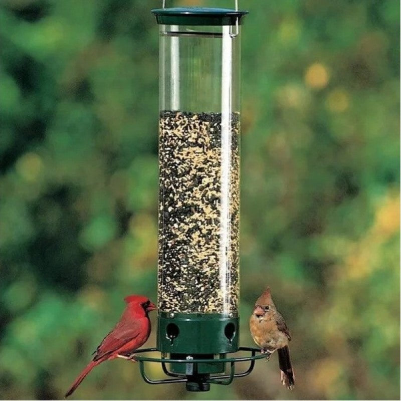 Squirrel-Proof Bird Feeder – 5lb Seed Tube with 4 Ports