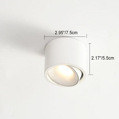 Adjustable LED Flush Mount Ceiling Spotlight