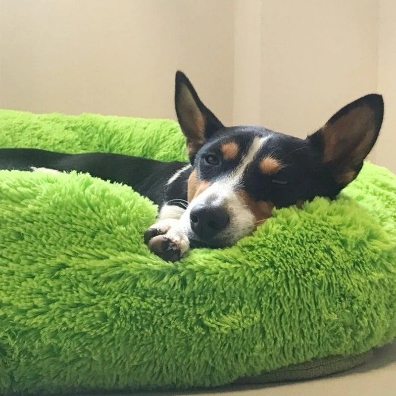 Long Plush Donut Pet Bed with Washable Cover and Non-Slip Base