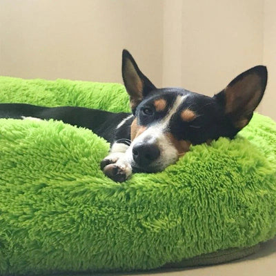 Long Plush Donut Pet Bed with Washable Cover and Non-Slip Base