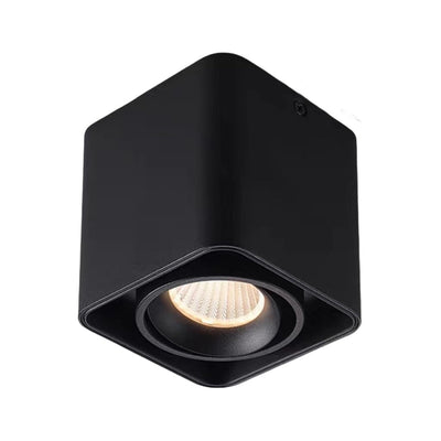 Square Adjustable Ceiling Lamp with Dimmable LED Light