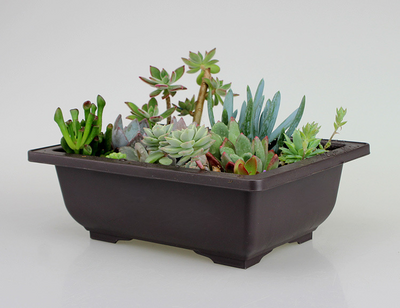 Rectangular Flower Planter with Saucer for Balcony