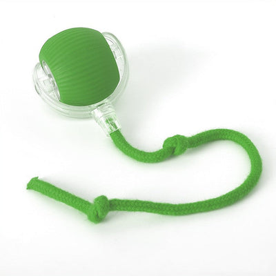 Interactive Rolling Ball Toy with Tail for Cats