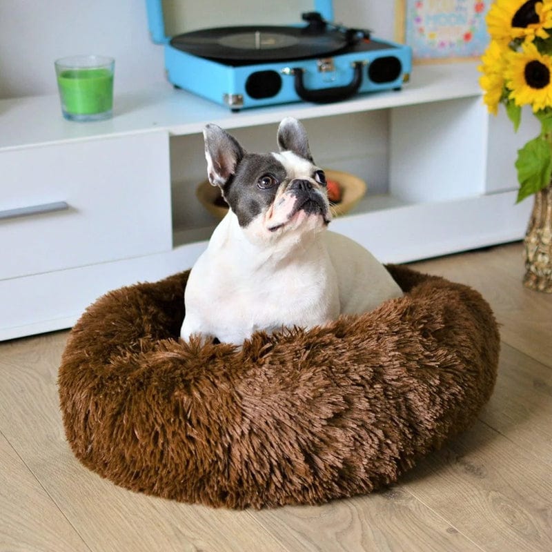 Fluffy Calming Pet Bed for Dogs and Cats