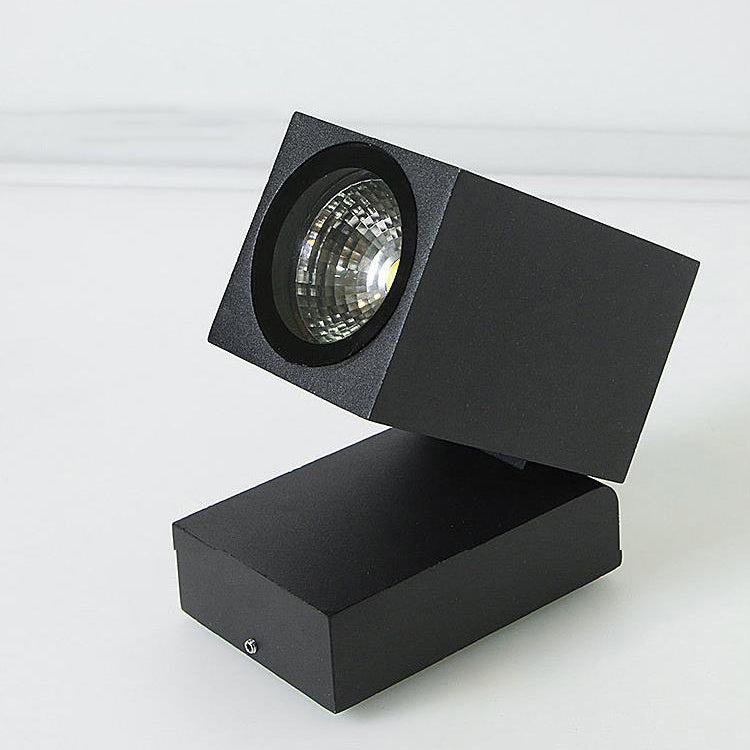 Outdoor LED Wall Light with Adjustable Angle
