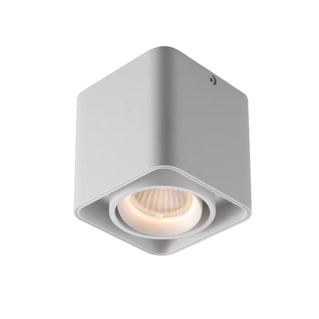 Square Adjustable Ceiling Lamp with Dimmable LED Light