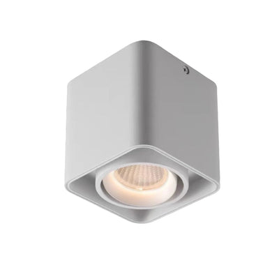 Square Adjustable Ceiling Lamp with Dimmable LED Light