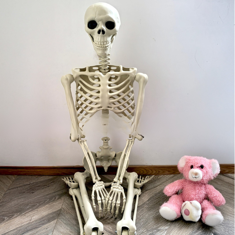 Life-Size 170 cm Posable Halloween Skeleton Decoration