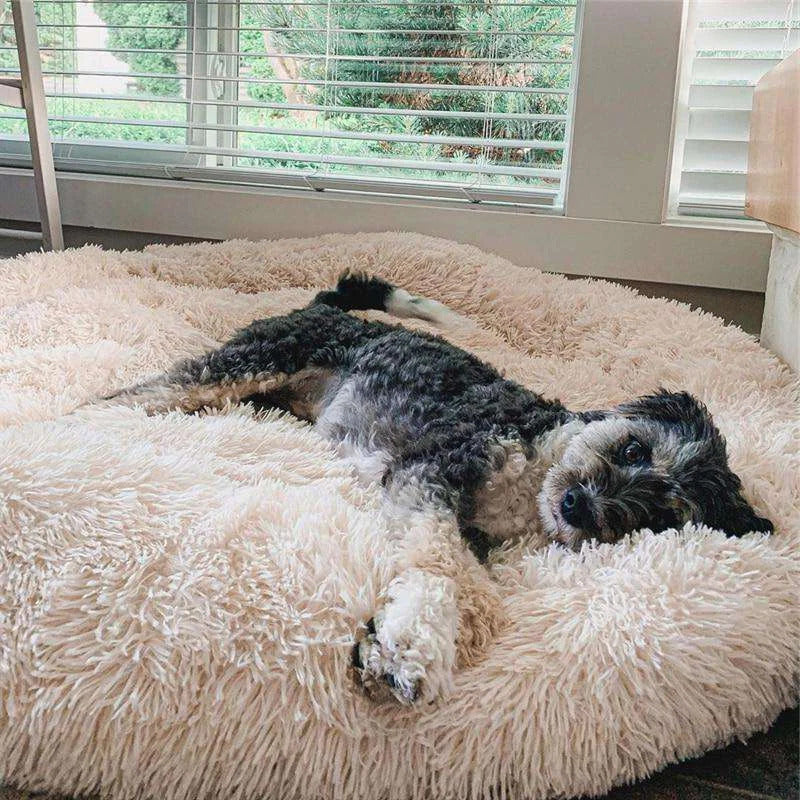 Long Plush Donut Pet Bed with Washable Cover and Non-Slip Base