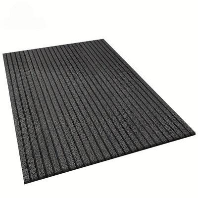 Weather-Resistant Indoor Outdoor Doormat