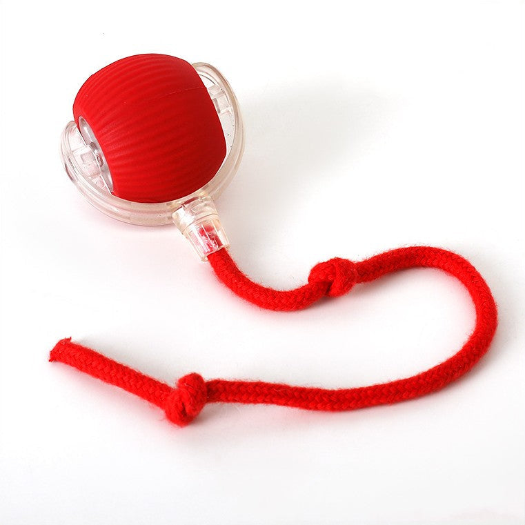 Interactive Rolling Ball Toy with Tail for Cats
