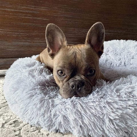 Fluffy Calming Pet Bed for Dogs and Cats