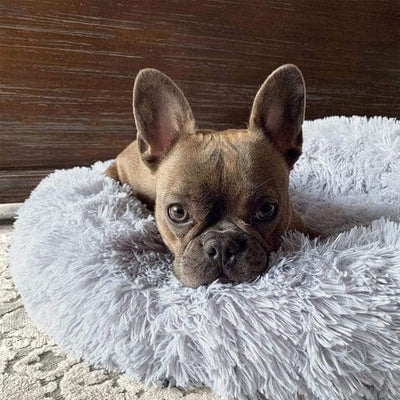 Fluffy Calming Pet Bed for Dogs and Cats